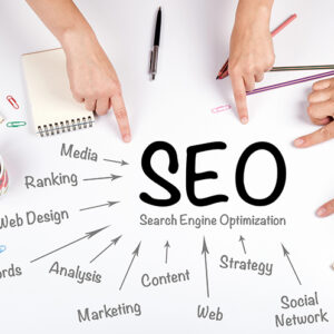 SEO  Start-Up